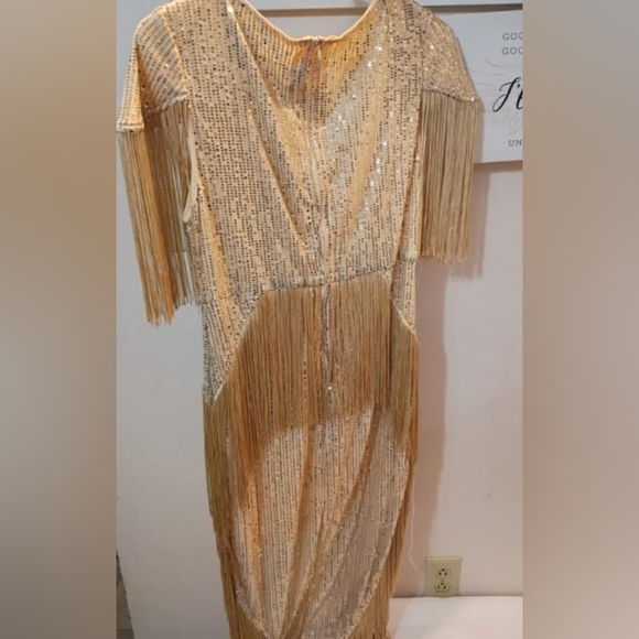 Gold Fringe Sequin Evening Dress - Pluswear - Picture 3 of 9
